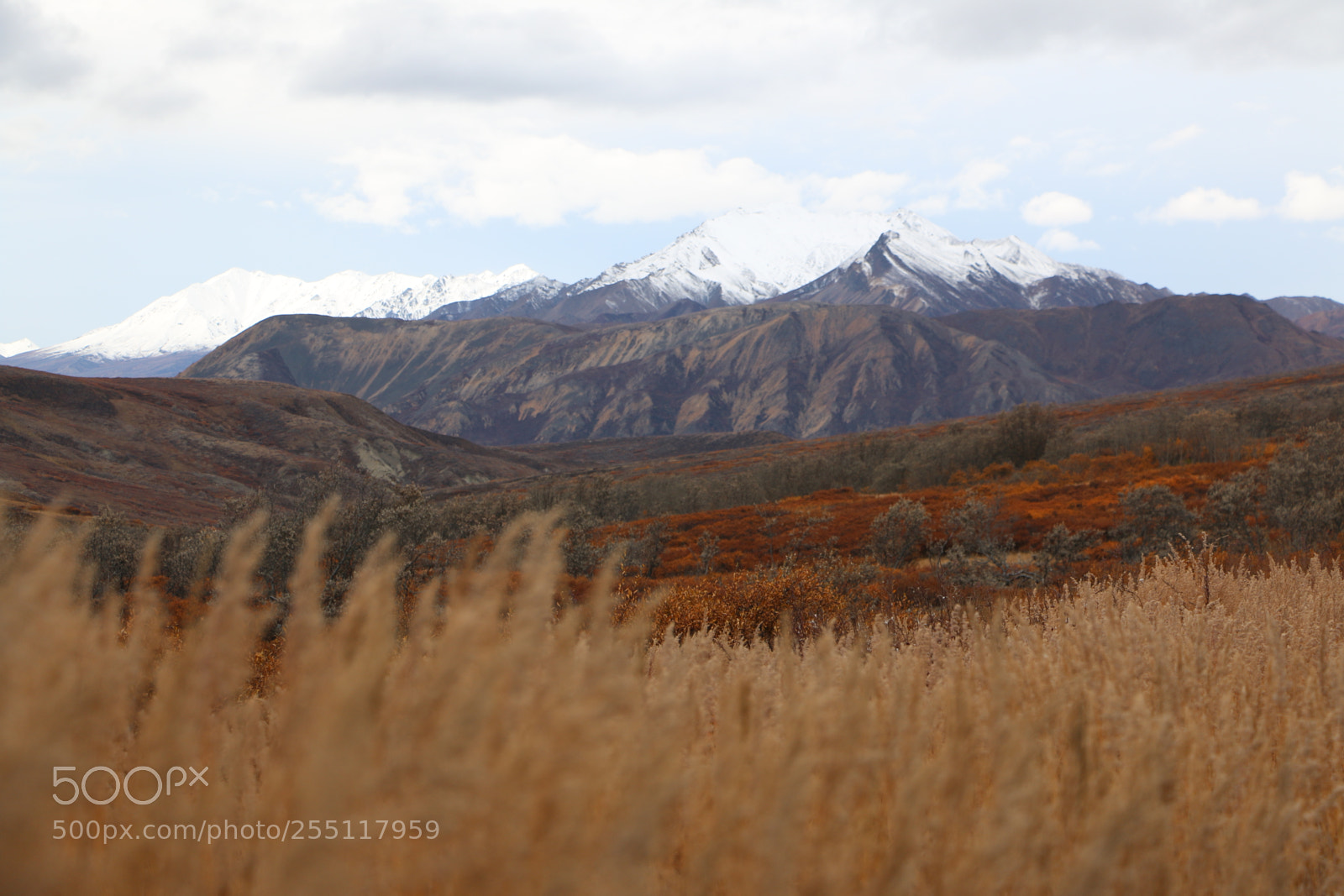 Canon EOS 70D sample photo. Img photography