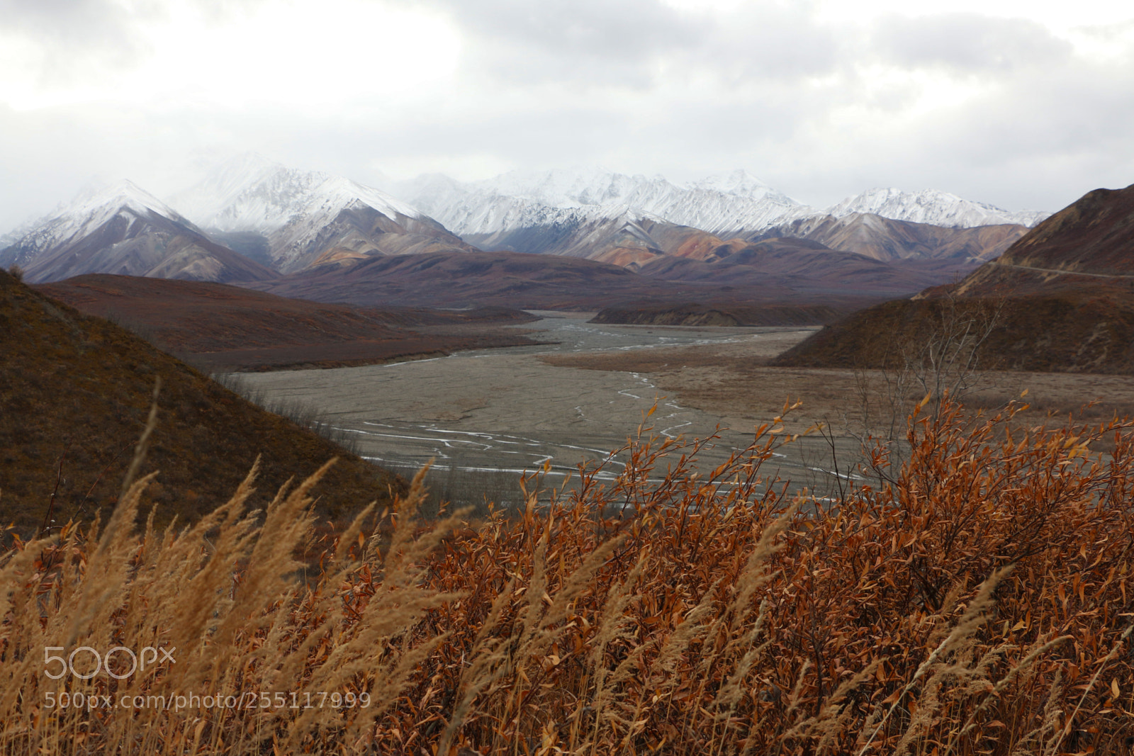 Canon EOS 70D sample photo. Img photography