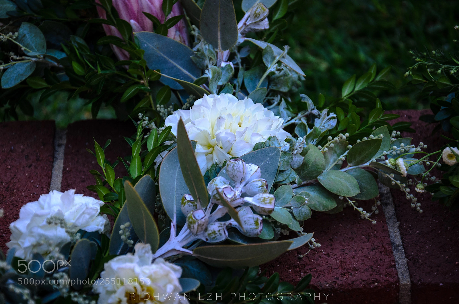 Nikon D7000 sample photo. Anzac photography