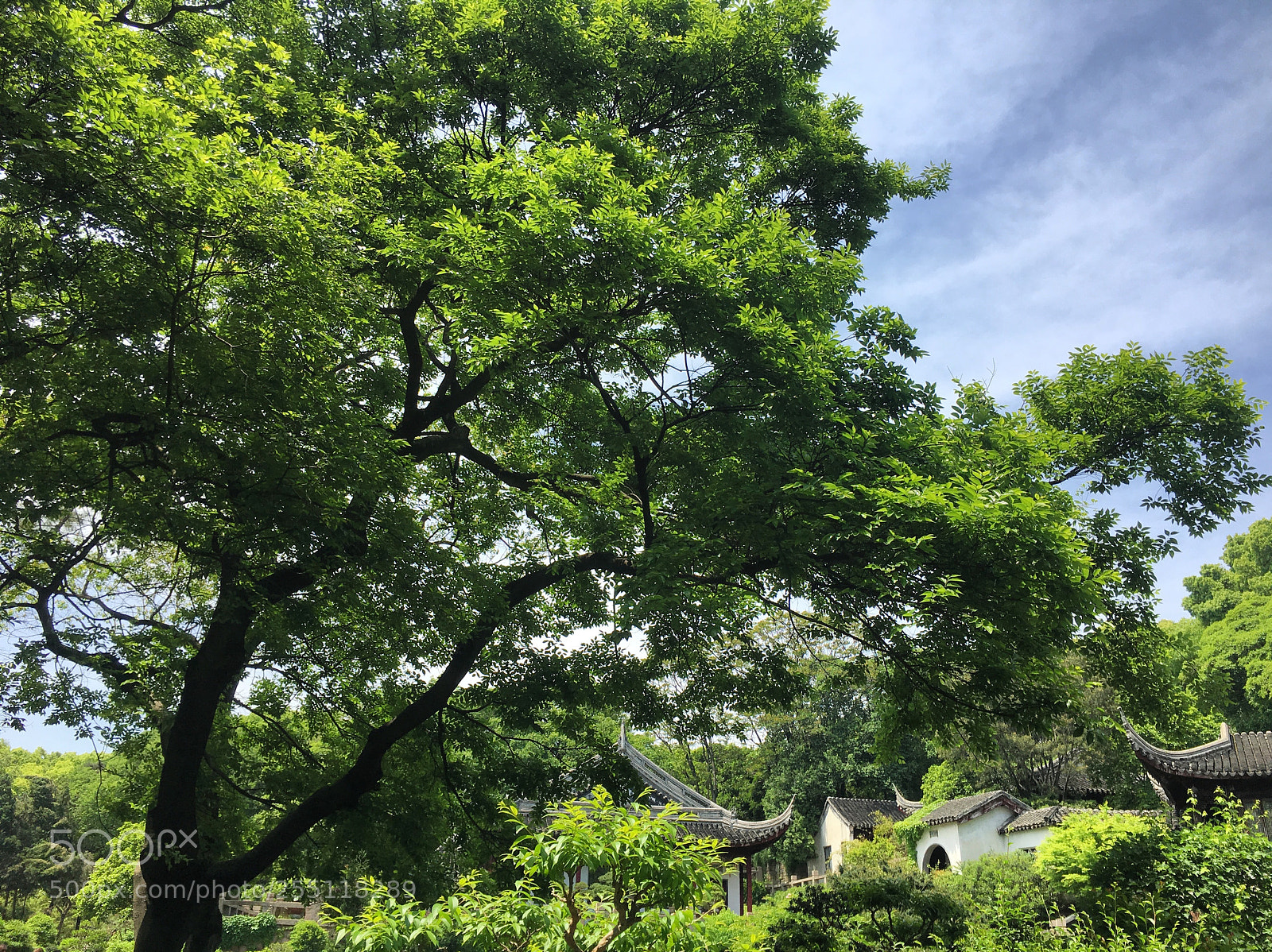 Apple iPhone 6s sample photo. Suzhou, china tiger hill photography