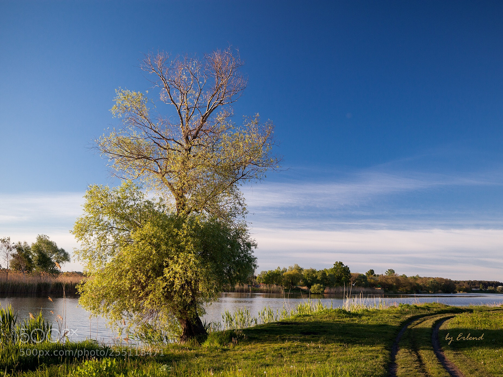 Canon EOS 5D Mark II sample photo. Spring * photography