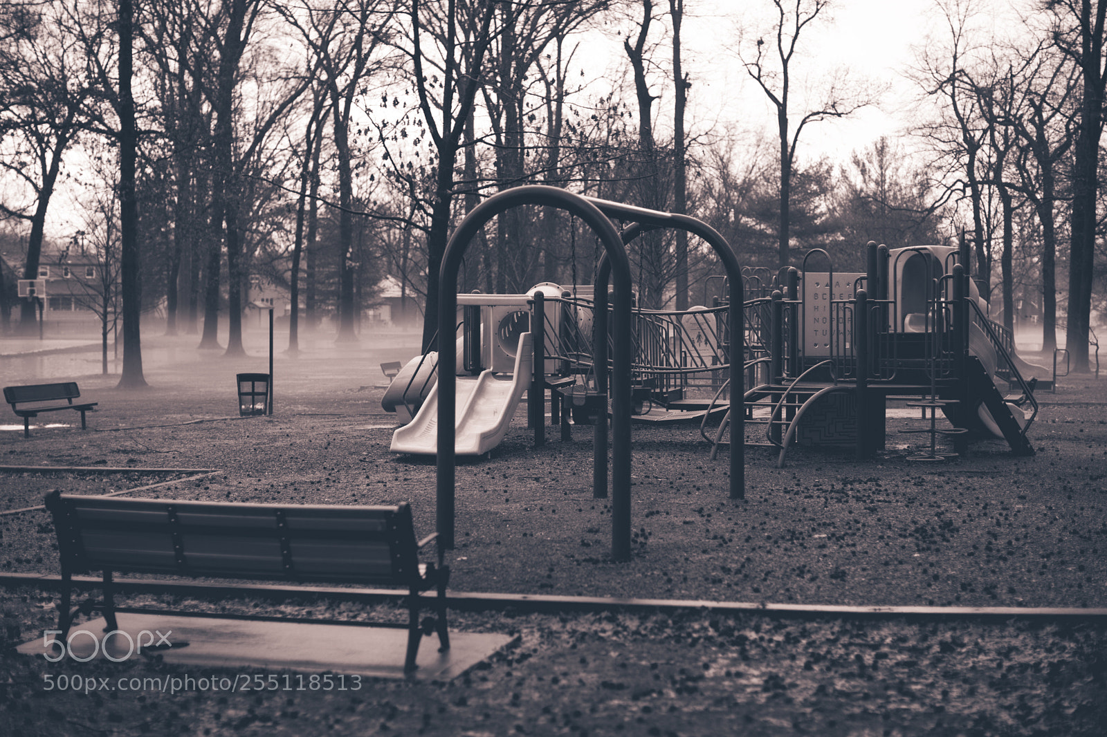 Canon EOS 5D Mark IV sample photo. Foggy park photography