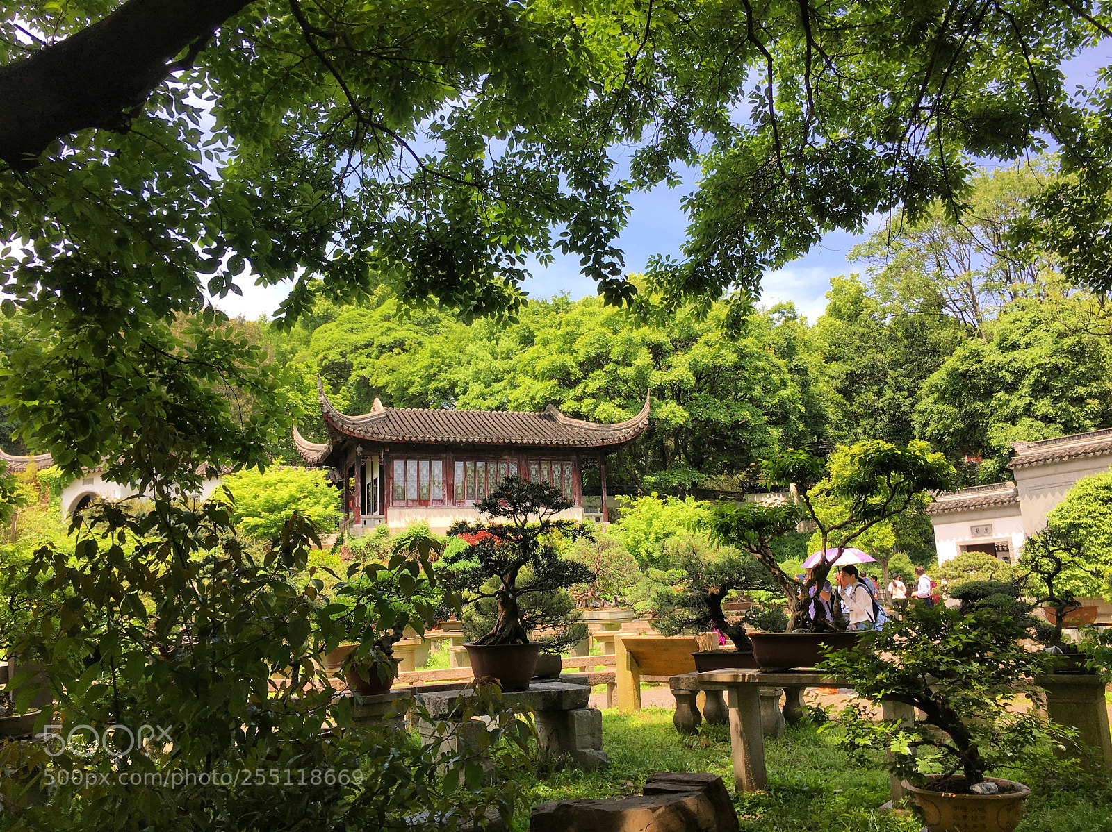 Apple iPhone 6s sample photo. Suzhou, china tiger hill photography