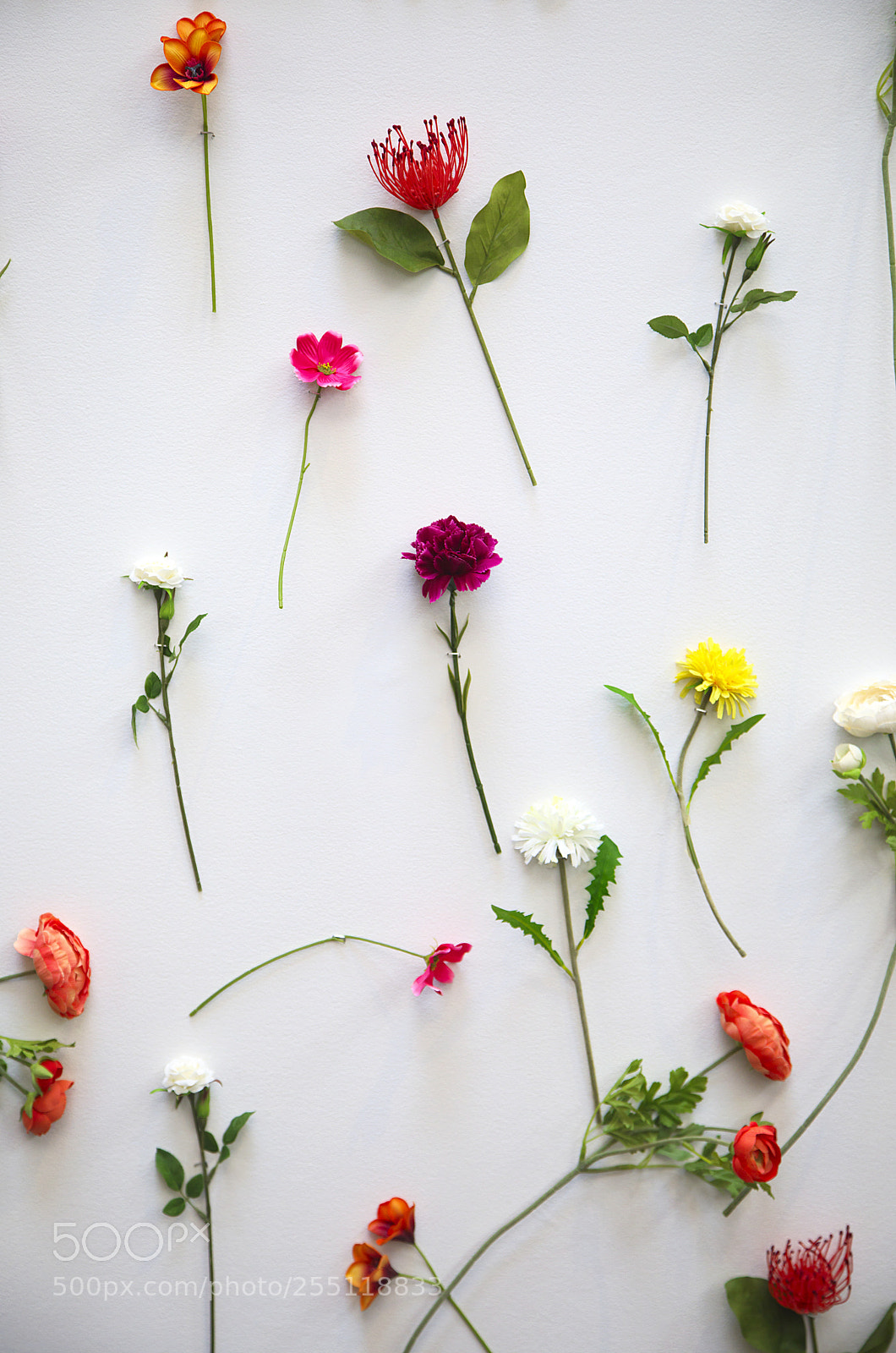 Canon EOS 5D Mark IV sample photo. Flat lay flowers composition photography