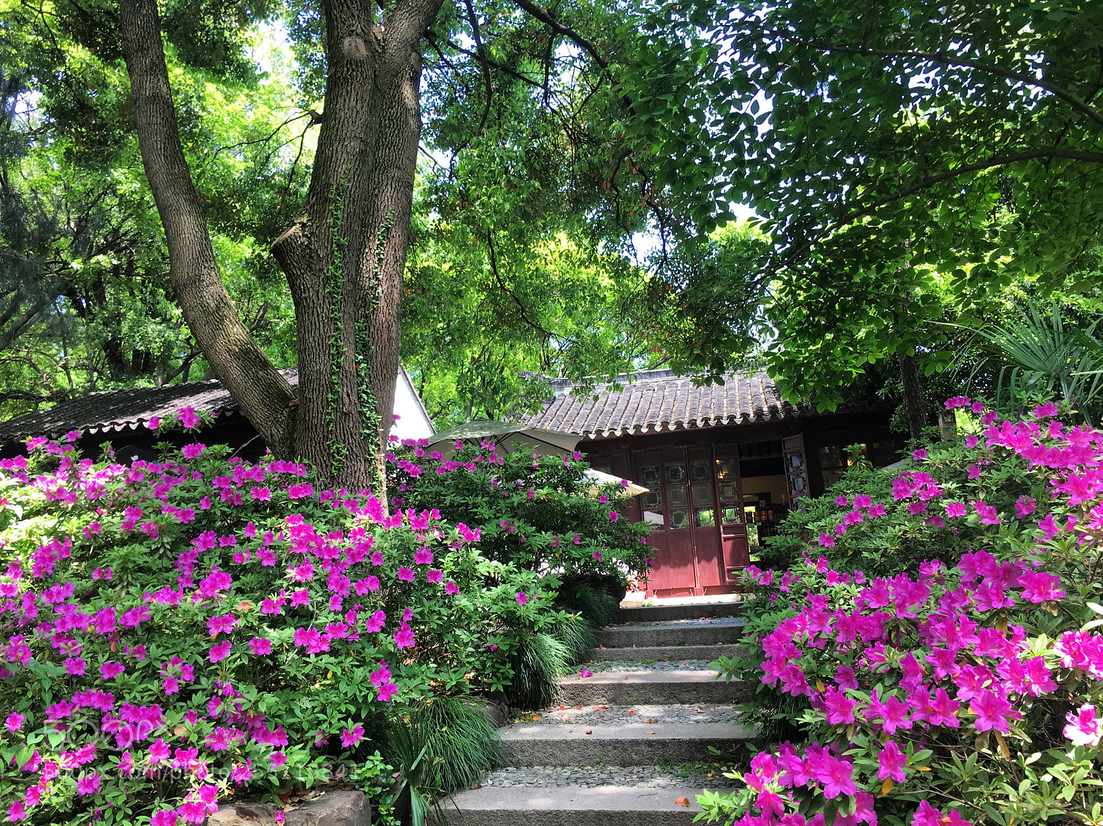 Apple iPhone 6s sample photo. Suzhou, china tiger hill photography