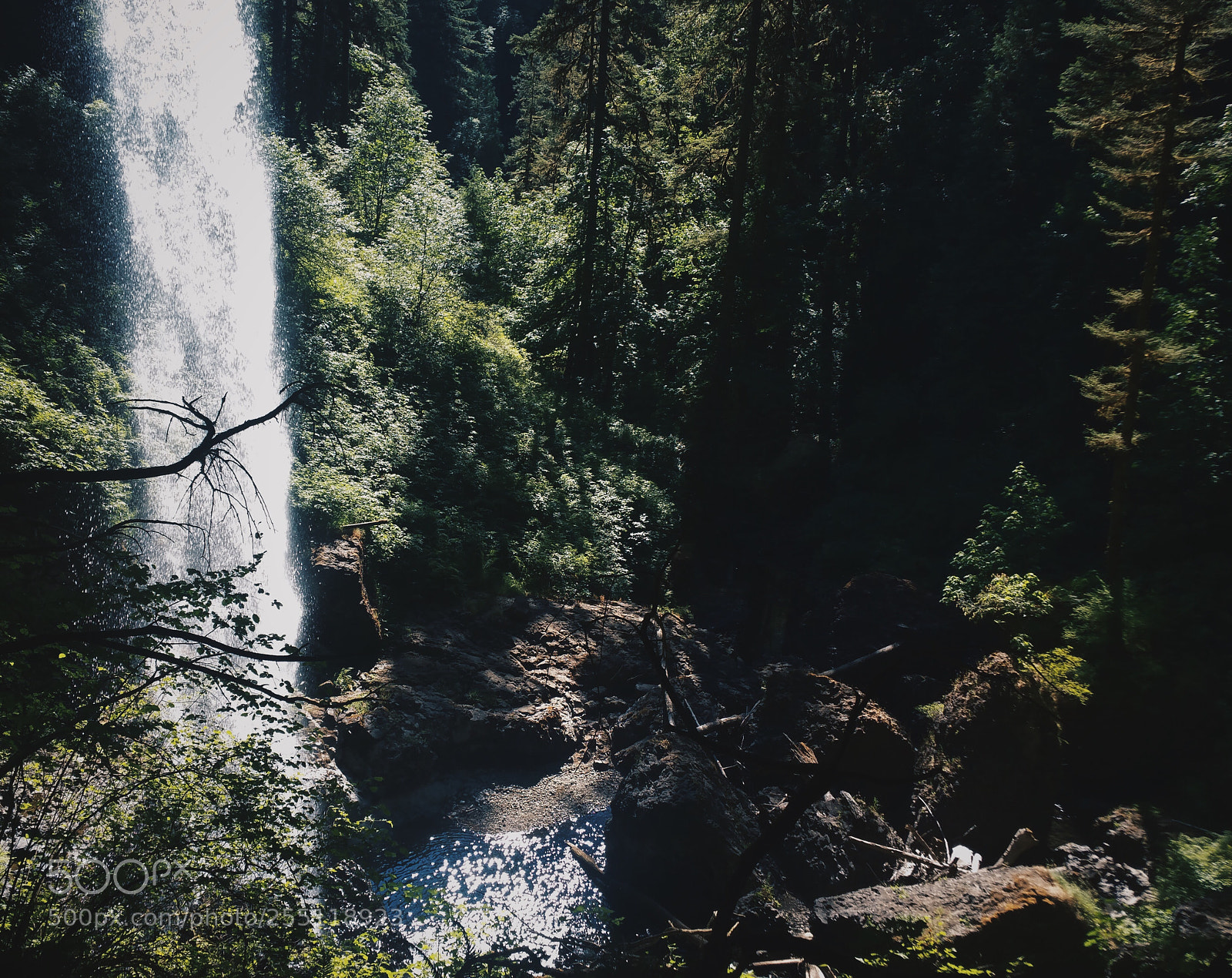 Samsung Galaxy Note4 sample photo. Fresh... photography
