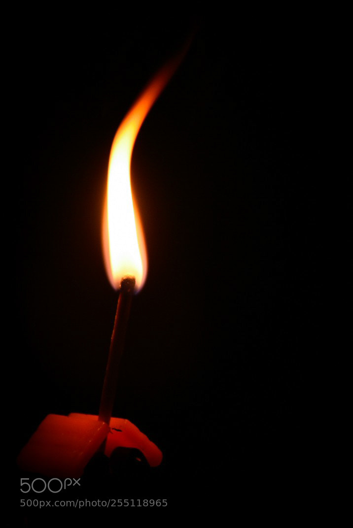 Nikon D7200 sample photo. Untitled photography
