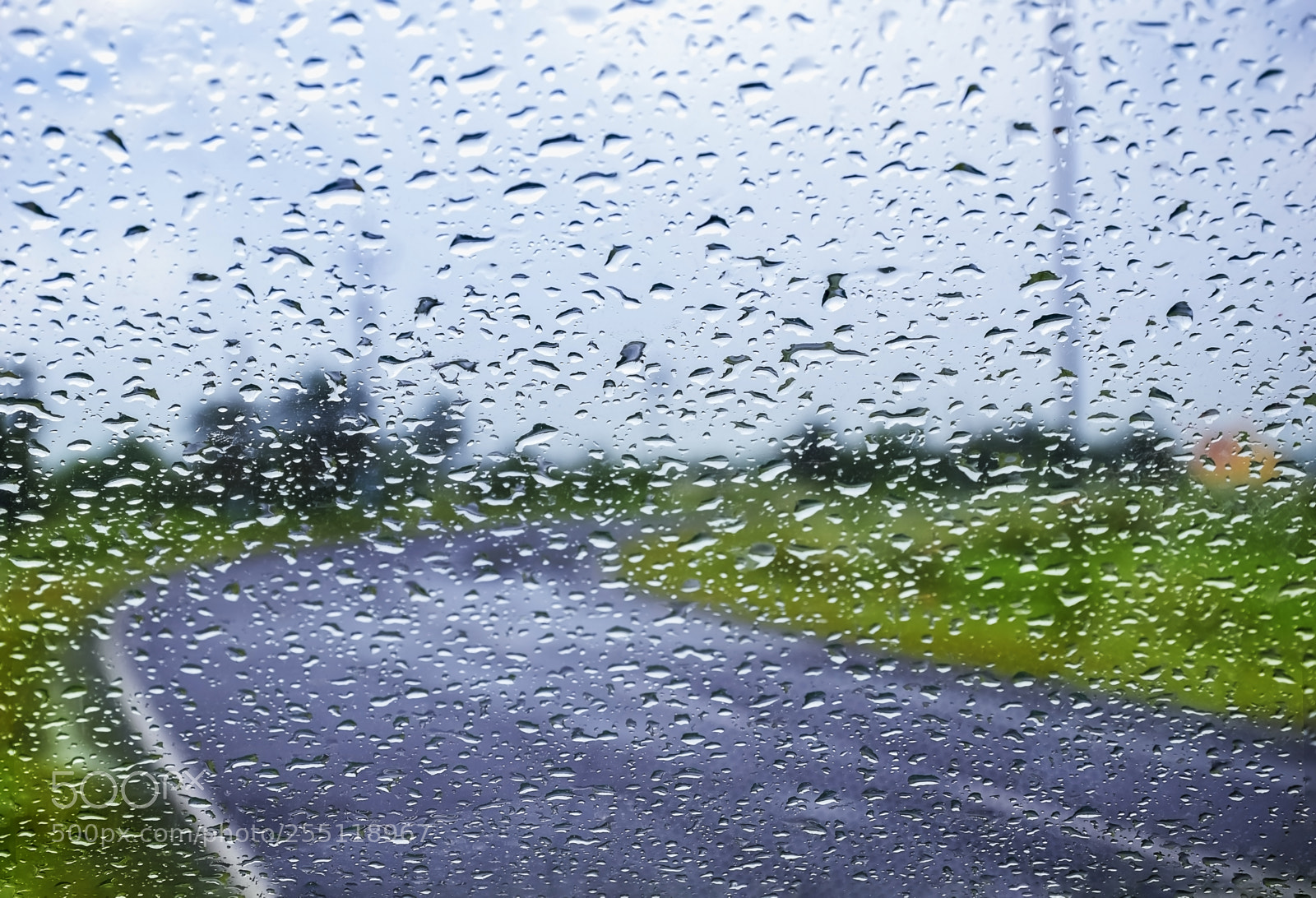 Nikon D5300 sample photo. Natural water drop background.car photography