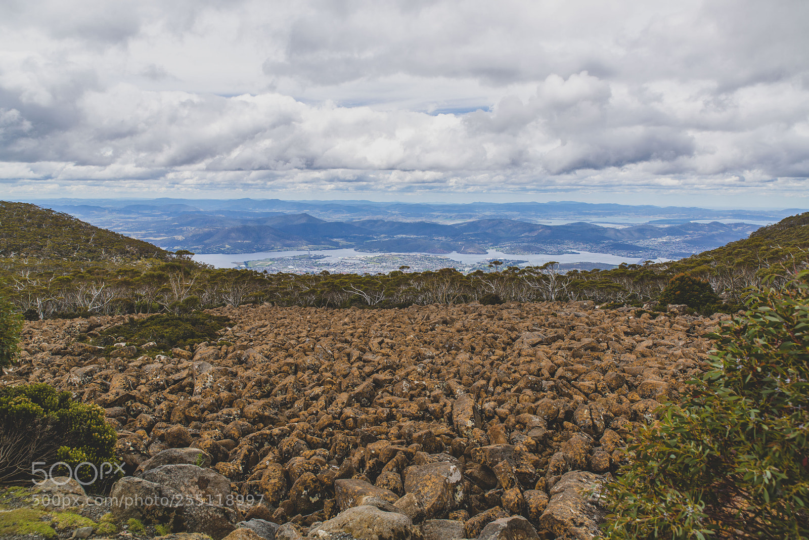 Nikon D610 sample photo. Kunanyi (mt wellington) photography