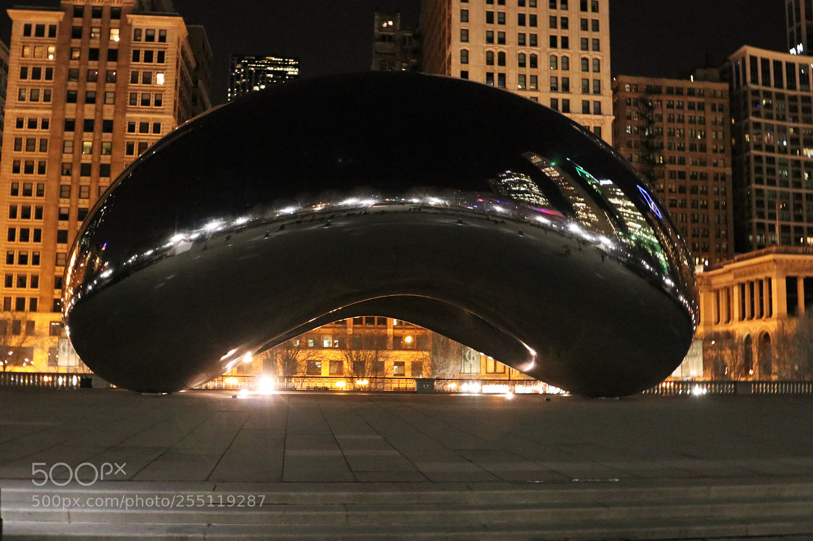 Canon EOS 80D sample photo. Chicago bean night view photography