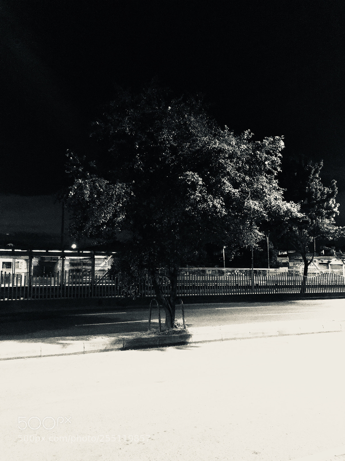Apple iPhone SE sample photo. Untitled photography