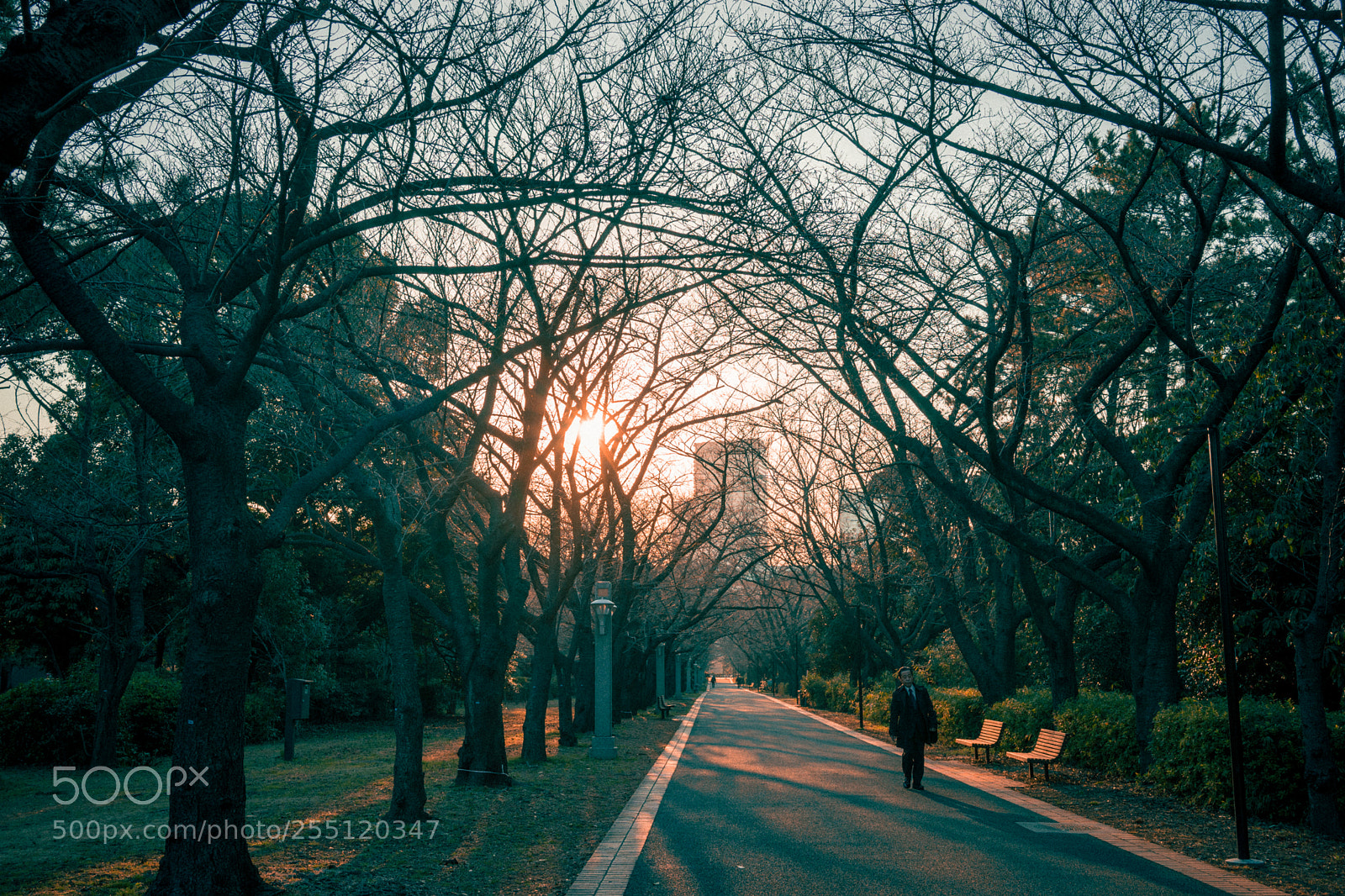 Sony a7 sample photo. Shadow's color photography