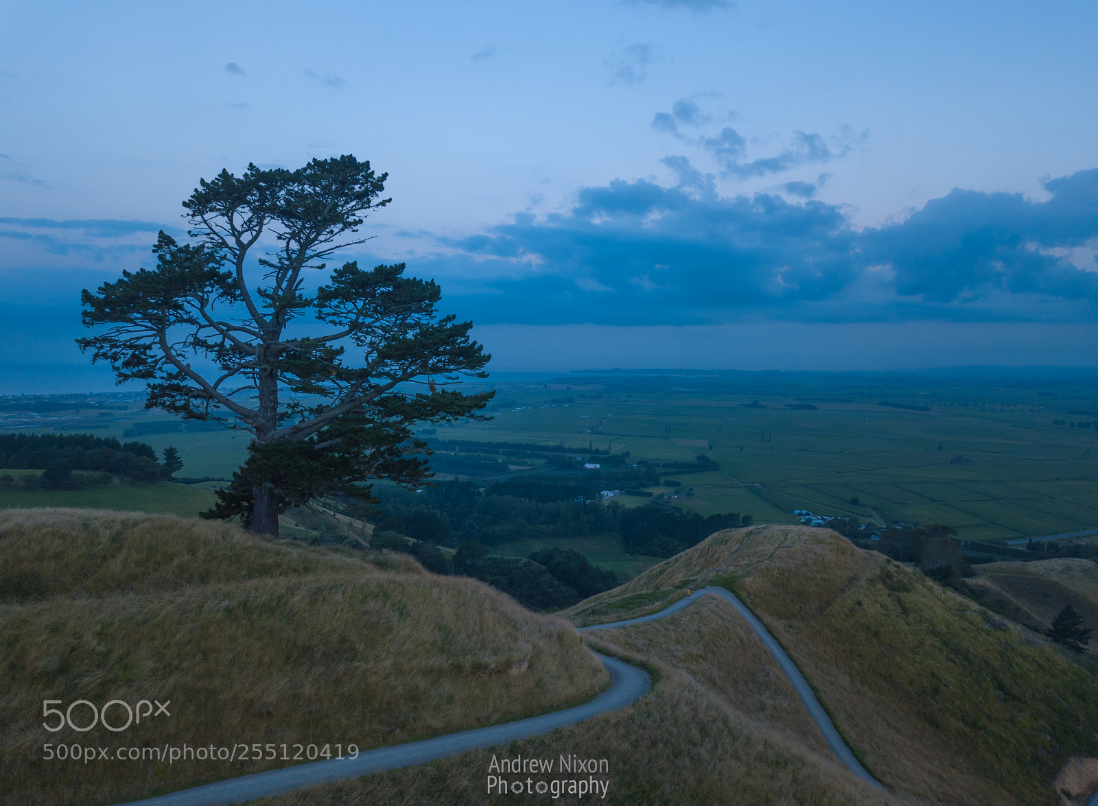 DJI FC220 sample photo. Papamoa hills photography