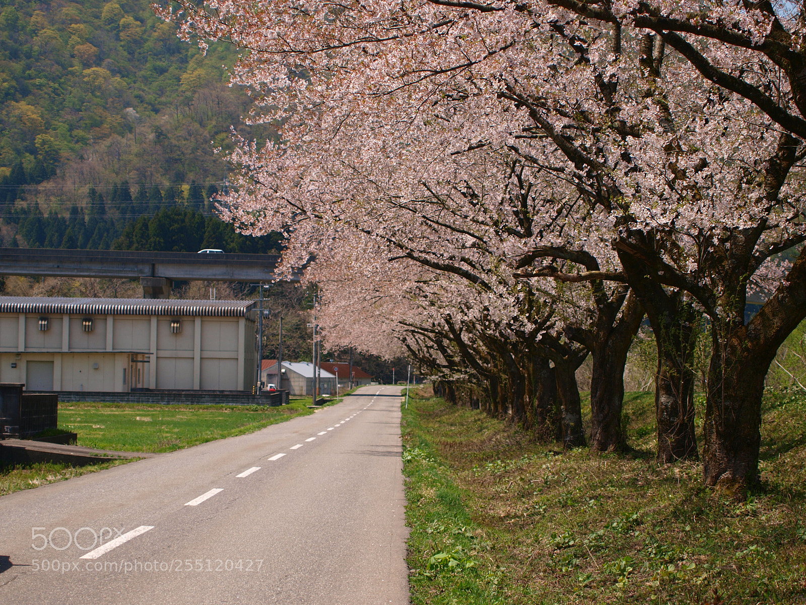 Olympus E-3 sample photo. Untitled photography