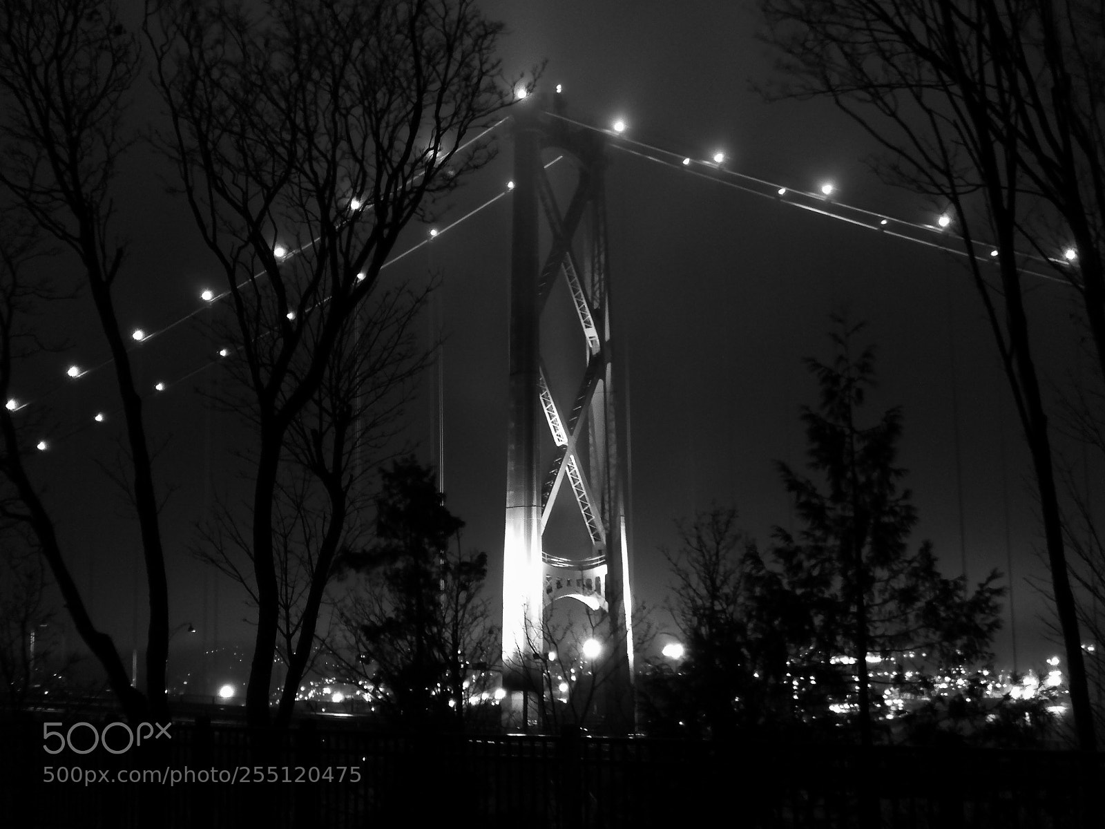HUAWEI P10 Plus sample photo. Bridge at night. photography