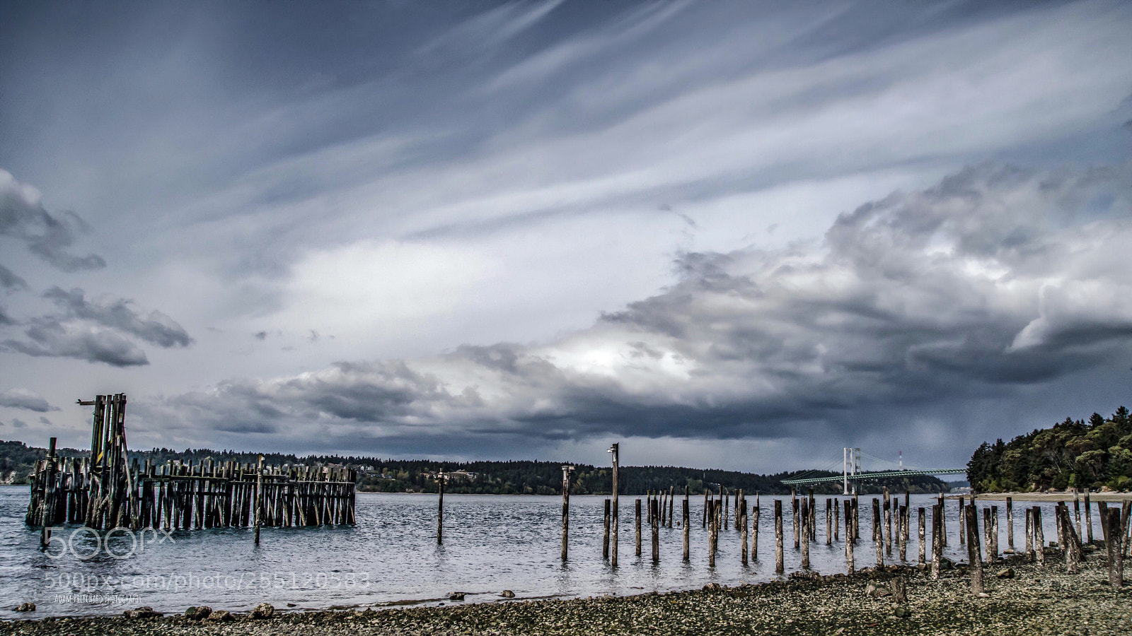 Nikon D800 sample photo. Untitled photography