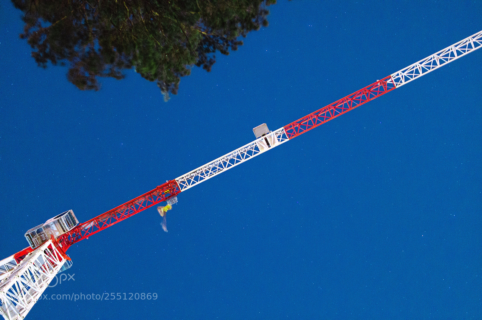 Sony SLT-A57 sample photo. Crane photography