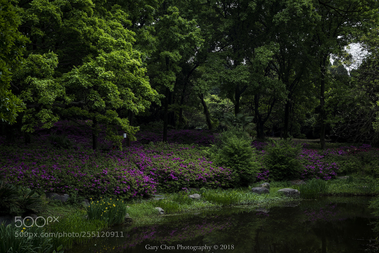 Nikon D810 sample photo. 晨曦 photography