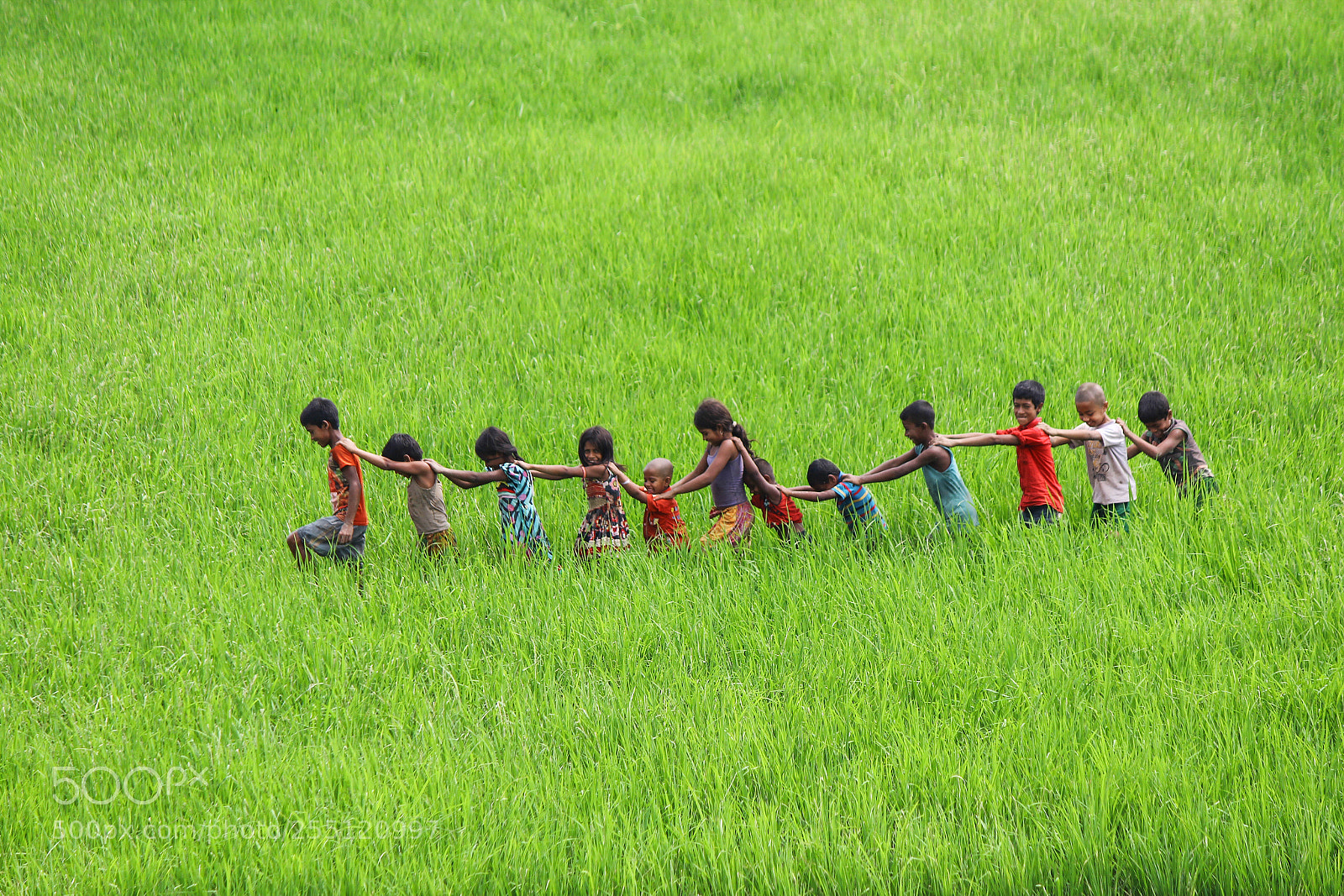 Canon EOS 600D (Rebel EOS T3i / EOS Kiss X5) sample photo. Children of heaven photography