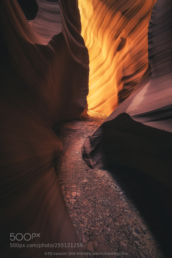 Canon EOS 5D Mark IV sample photo. March of flames photography