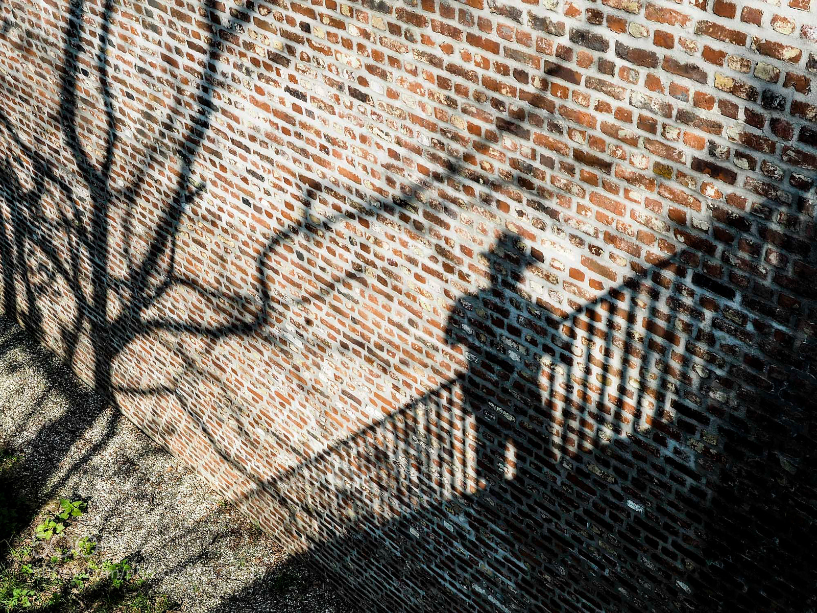 Olympus OM-D E-M5 II sample photo. Selfie photography