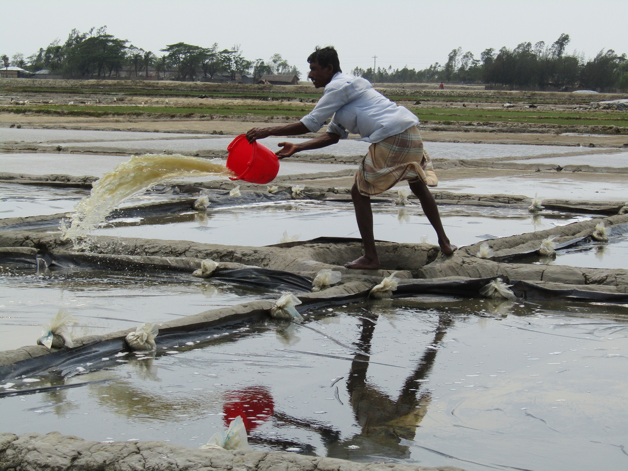 Canon PowerShot SX420 IS sample photo. Salt field photography