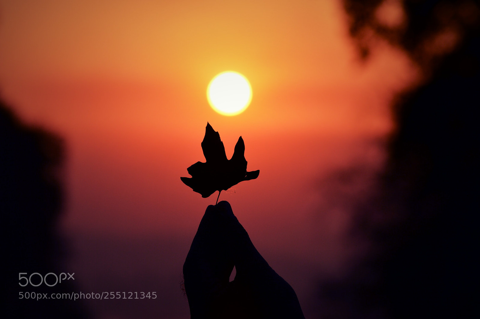 Nikon D3200 sample photo. Sunset photography