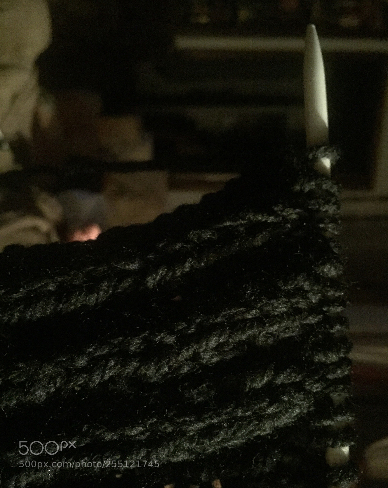 Apple iPhone 6 sample photo. Untitled photography