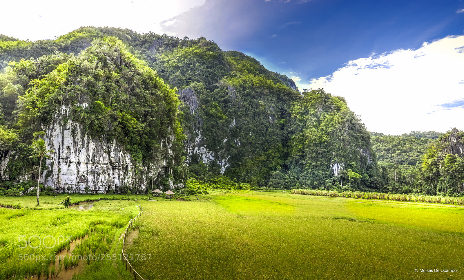 Nikon D90 sample photo. Karst mountain photography