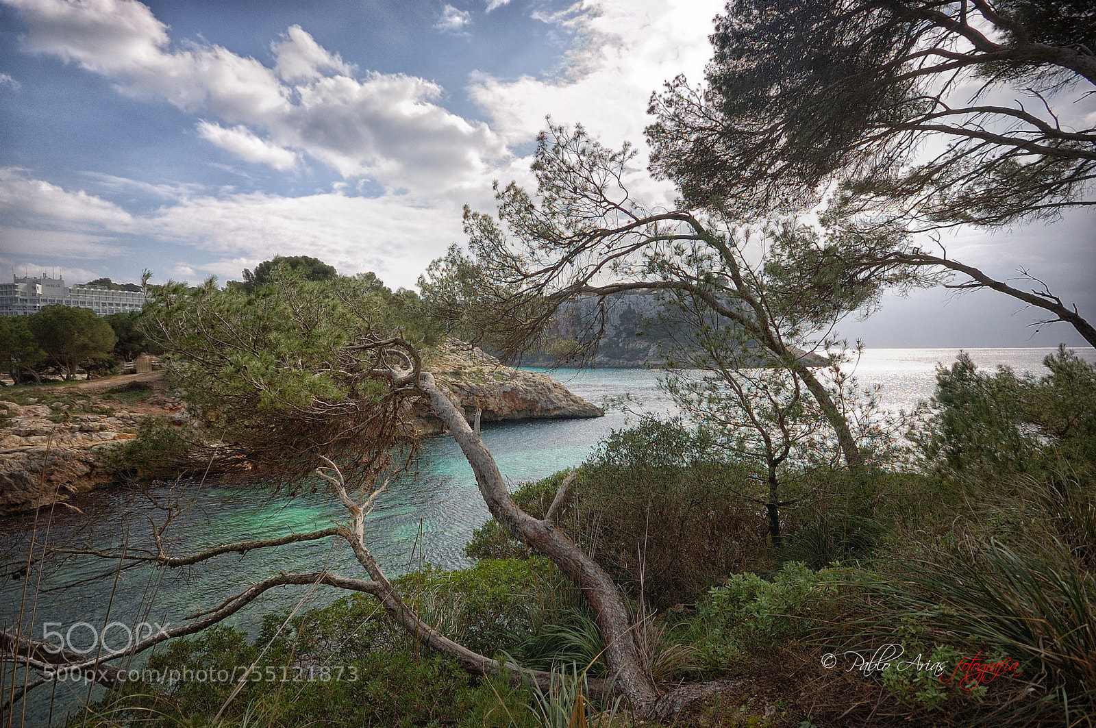 Nikon D50 sample photo. Los pinos de cala photography