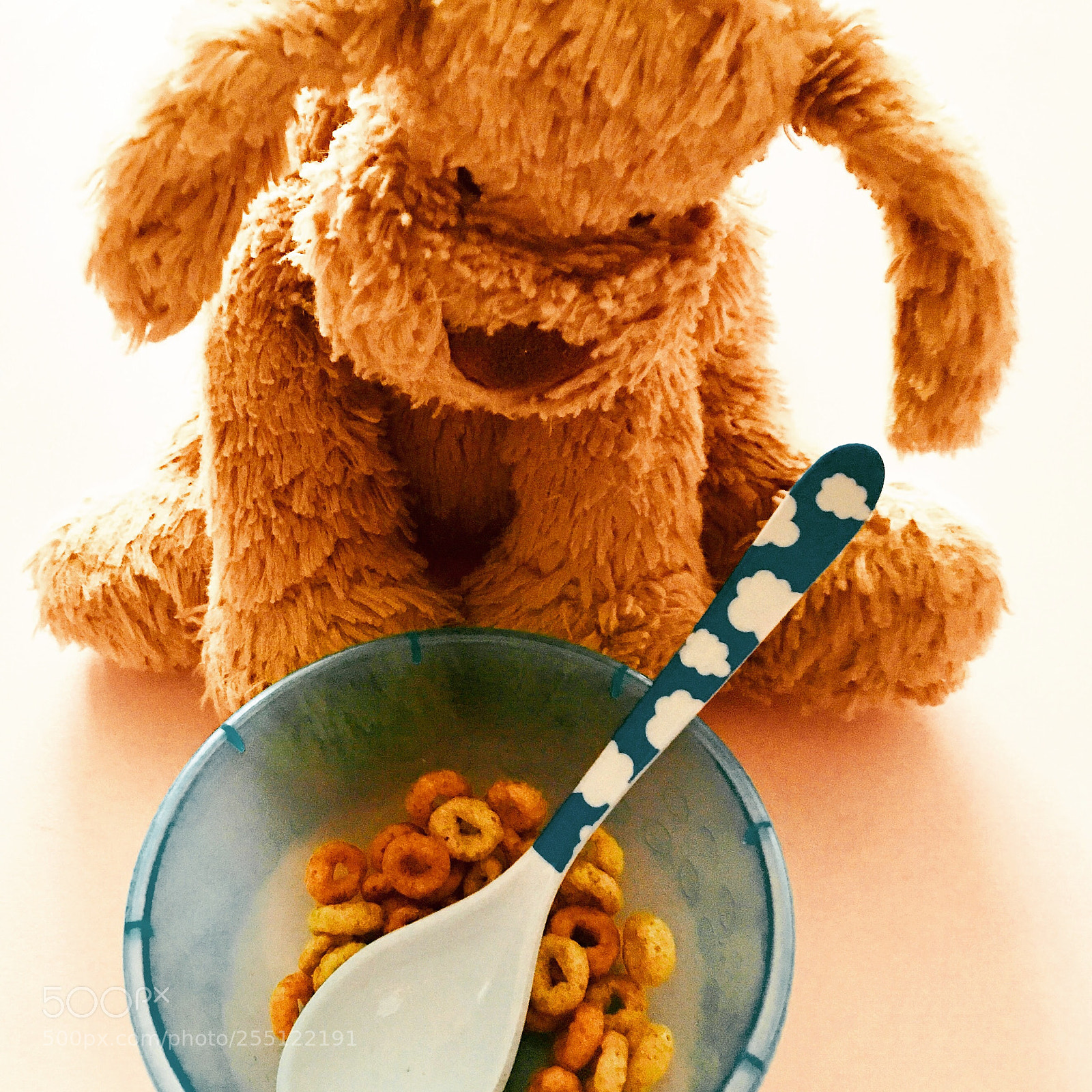 Apple iPhone 6s Plus sample photo. Puppy’s breakfast photography