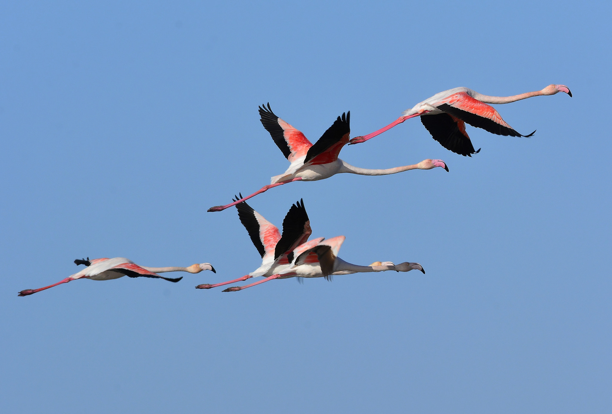 Nikon D7100 sample photo. In flight photography