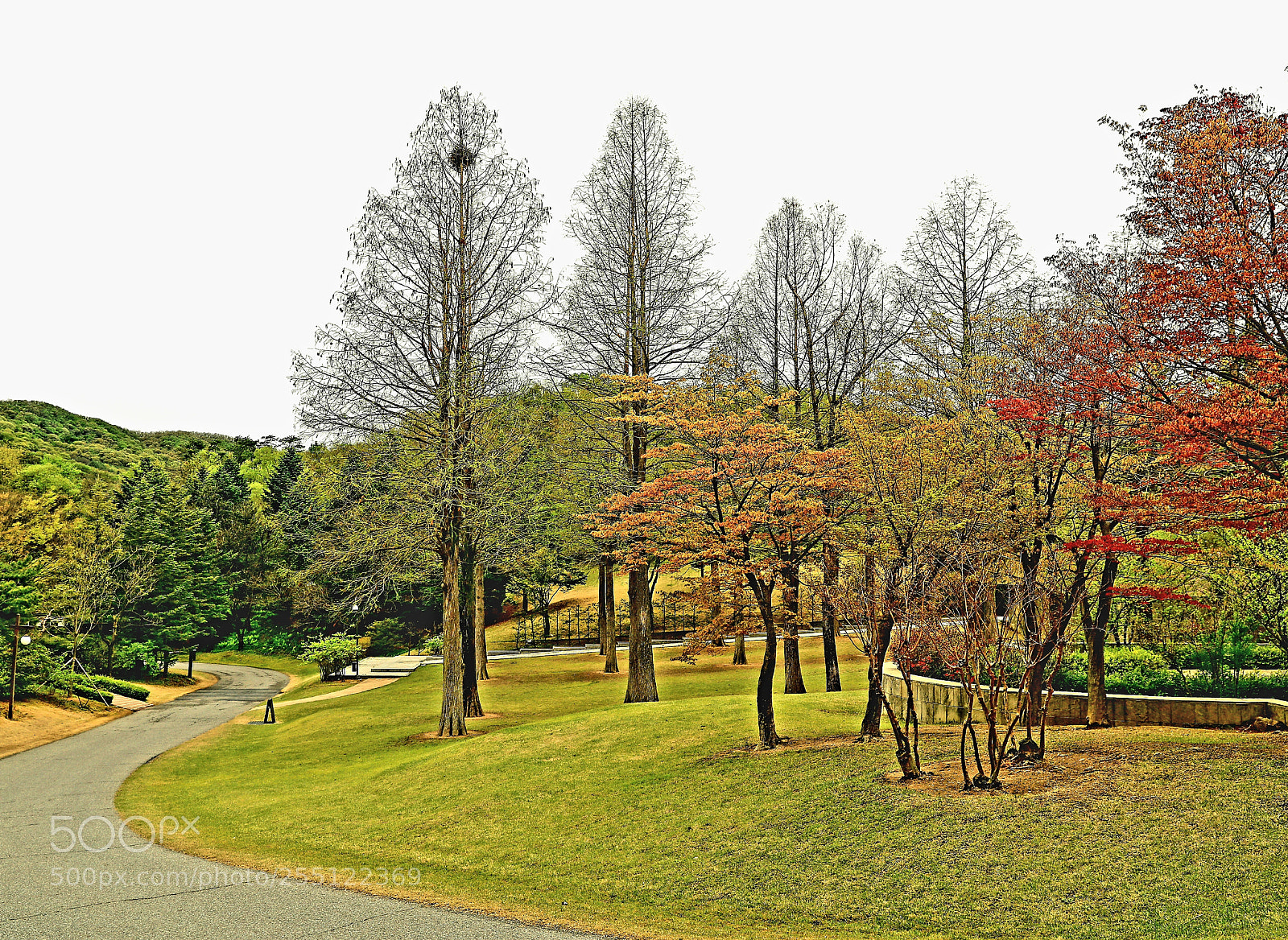 Canon EOS 5D Mark IV sample photo. Garden (희원) photography