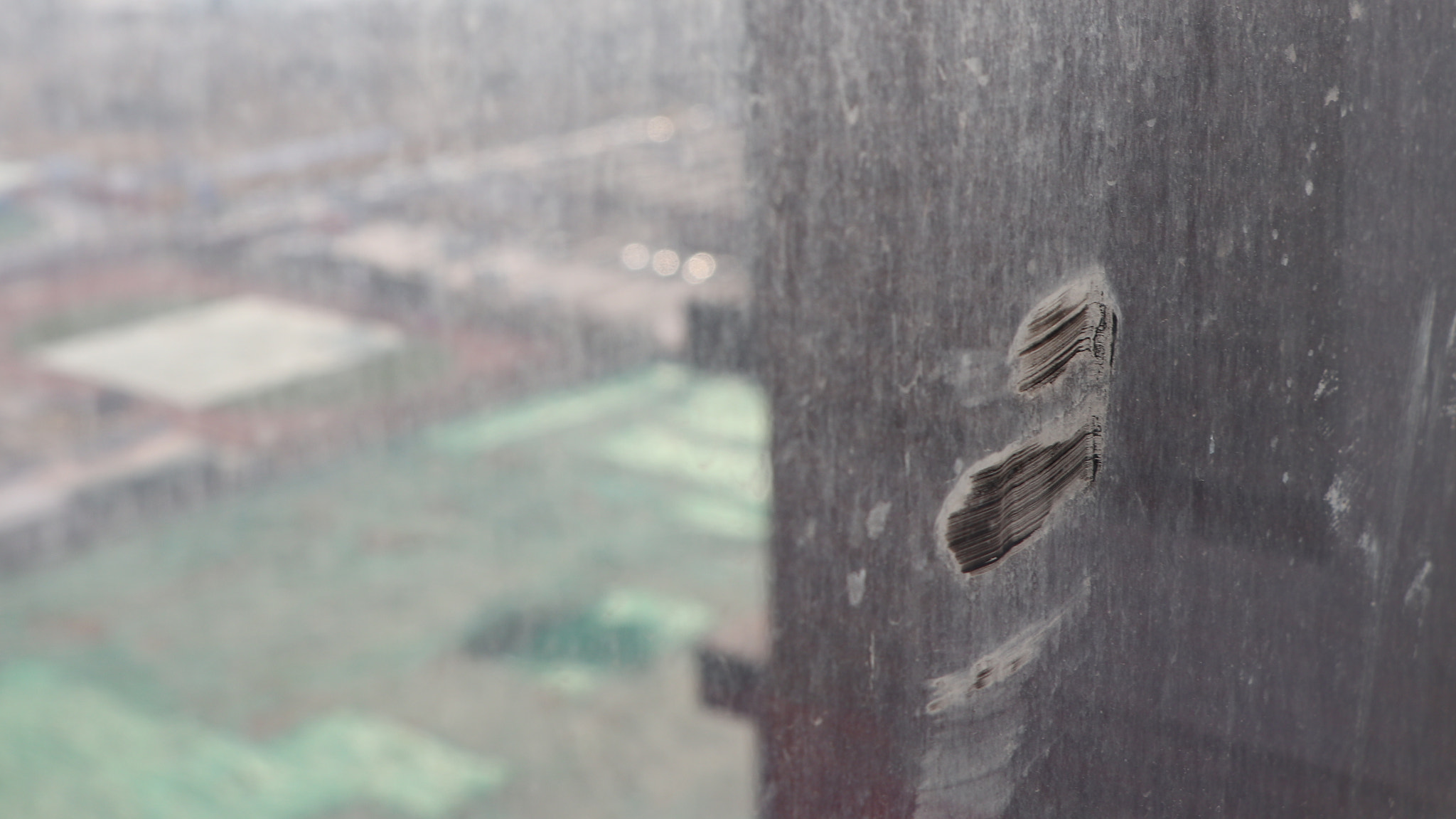 Canon EOS 77D (EOS 9000D / EOS 770D) sample photo