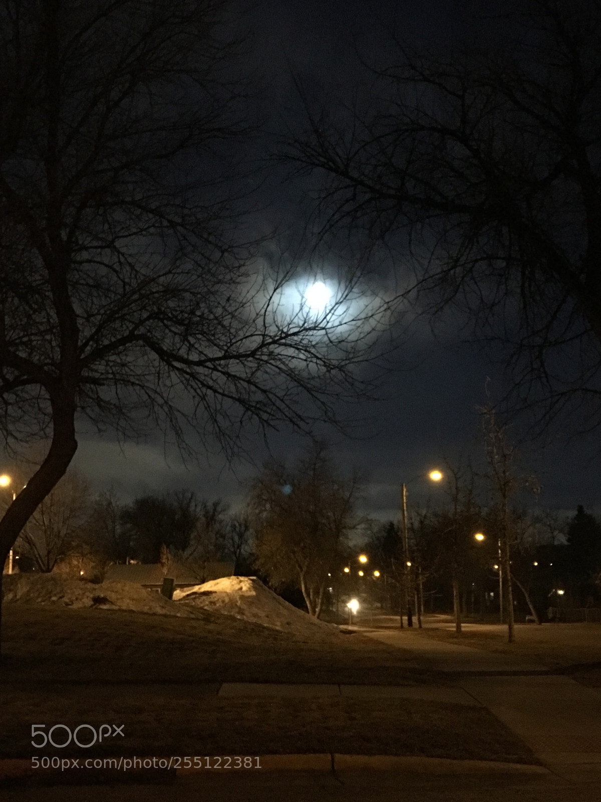 Apple iPhone 6s Plus sample photo. Early drive photography