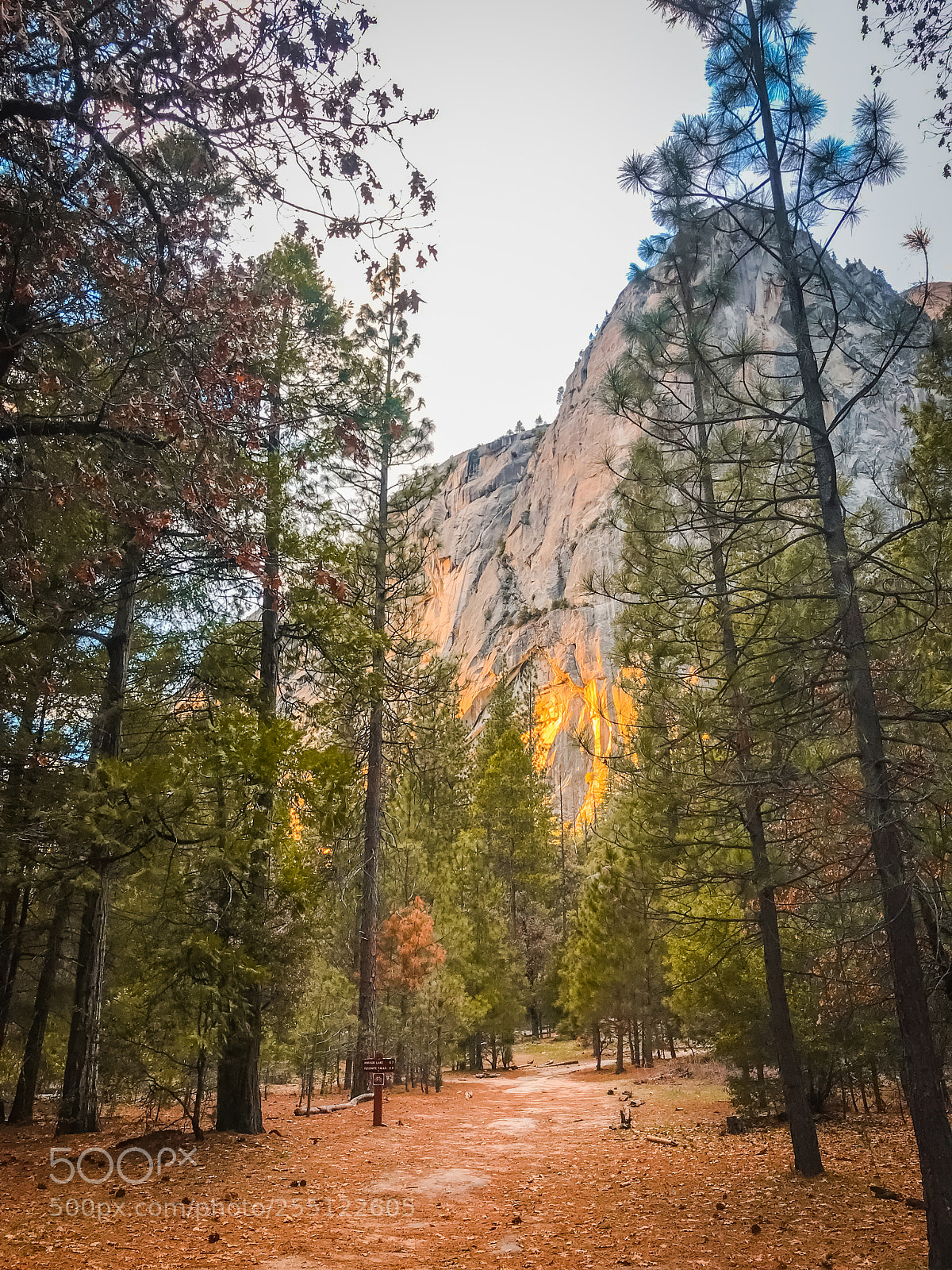 Apple iPhone 7 Plus sample photo. Yosemite light photography