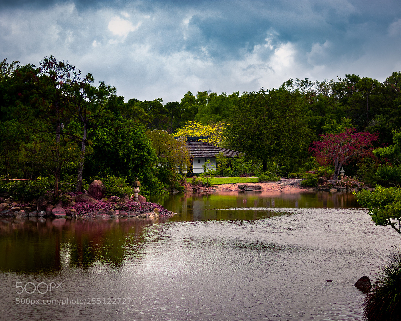 Canon EOS 80D sample photo. Morikami photography