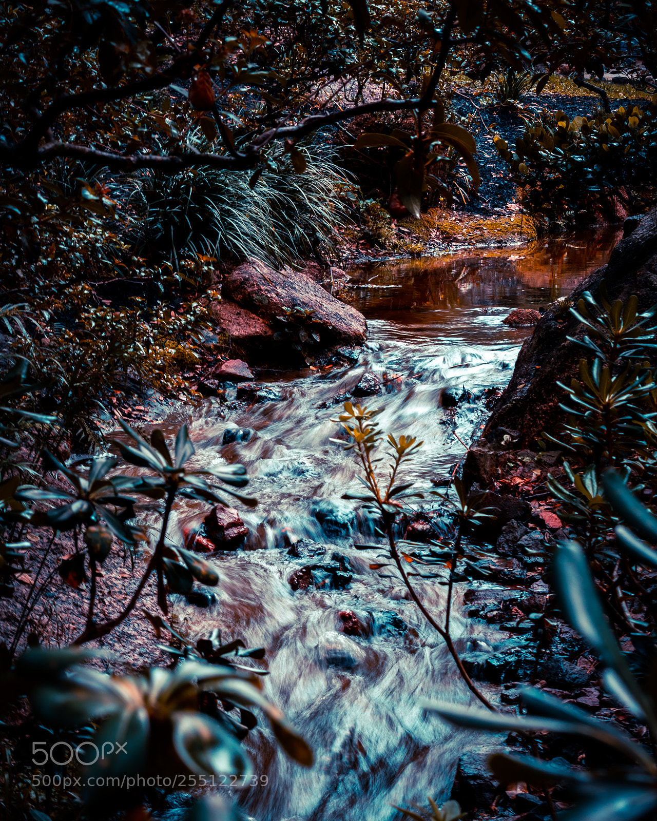 Canon EOS 80D sample photo. Morikami creek photography