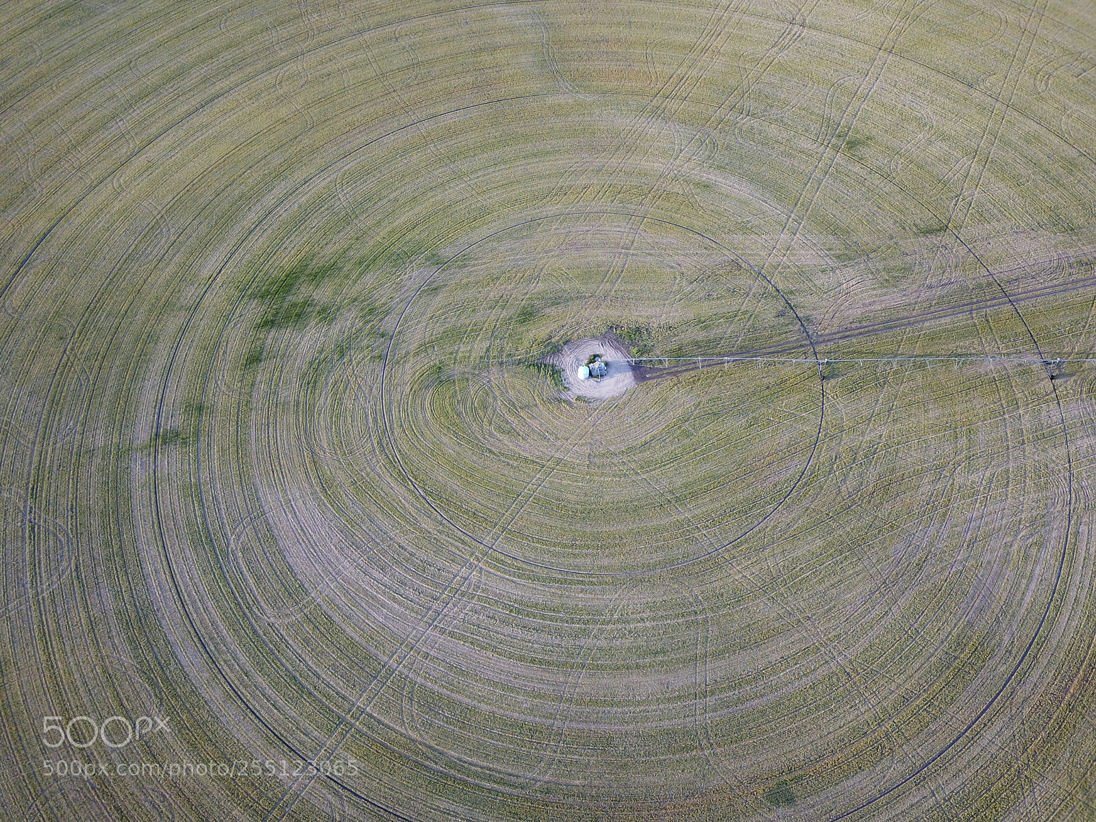 DJI FC220 sample photo. Circular photography