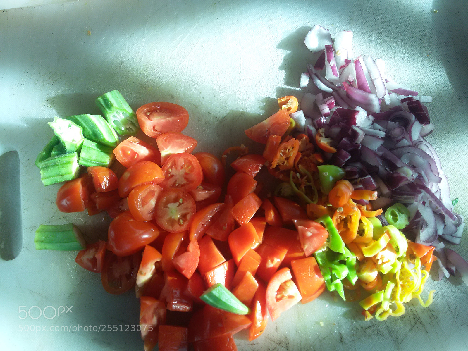 Samsung Galaxy S5 Mini sample photo. In the kitchen photography