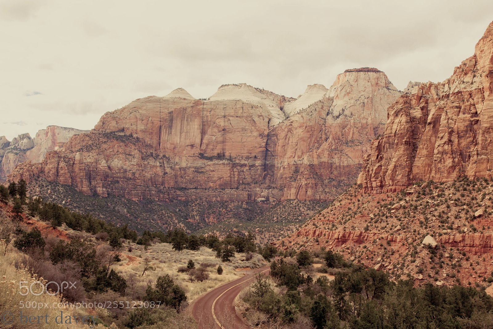Canon EOS 5D Mark II sample photo. Img photography
