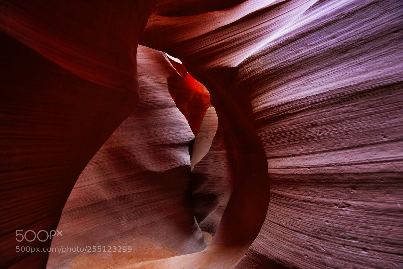 Sony a7R II sample photo. Carved by nature photography