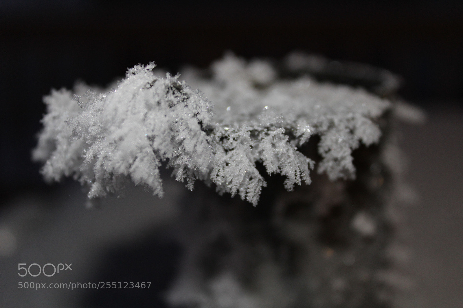 Canon EOS 1200D (EOS Rebel T5 / EOS Kiss X70 / EOS Hi) sample photo. Icicles photography