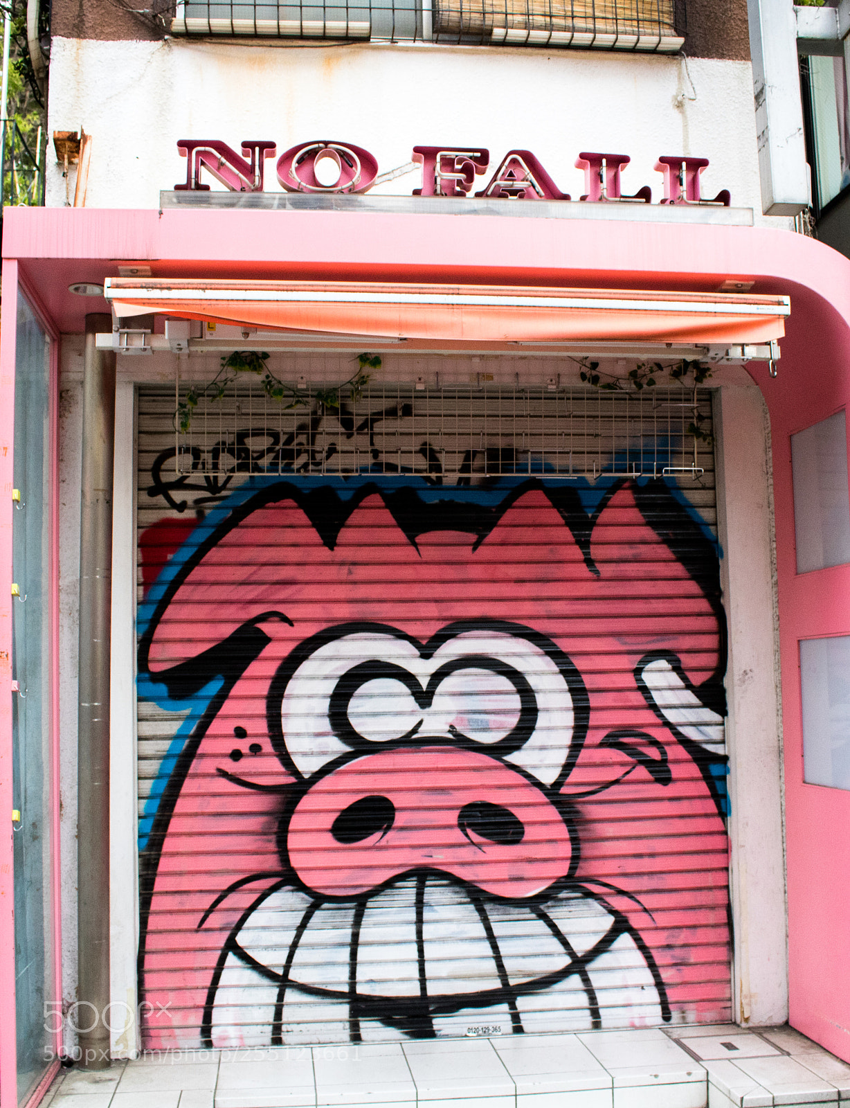 Canon EOS 750D (EOS Rebel T6i / EOS Kiss X8i) sample photo. Pig photography