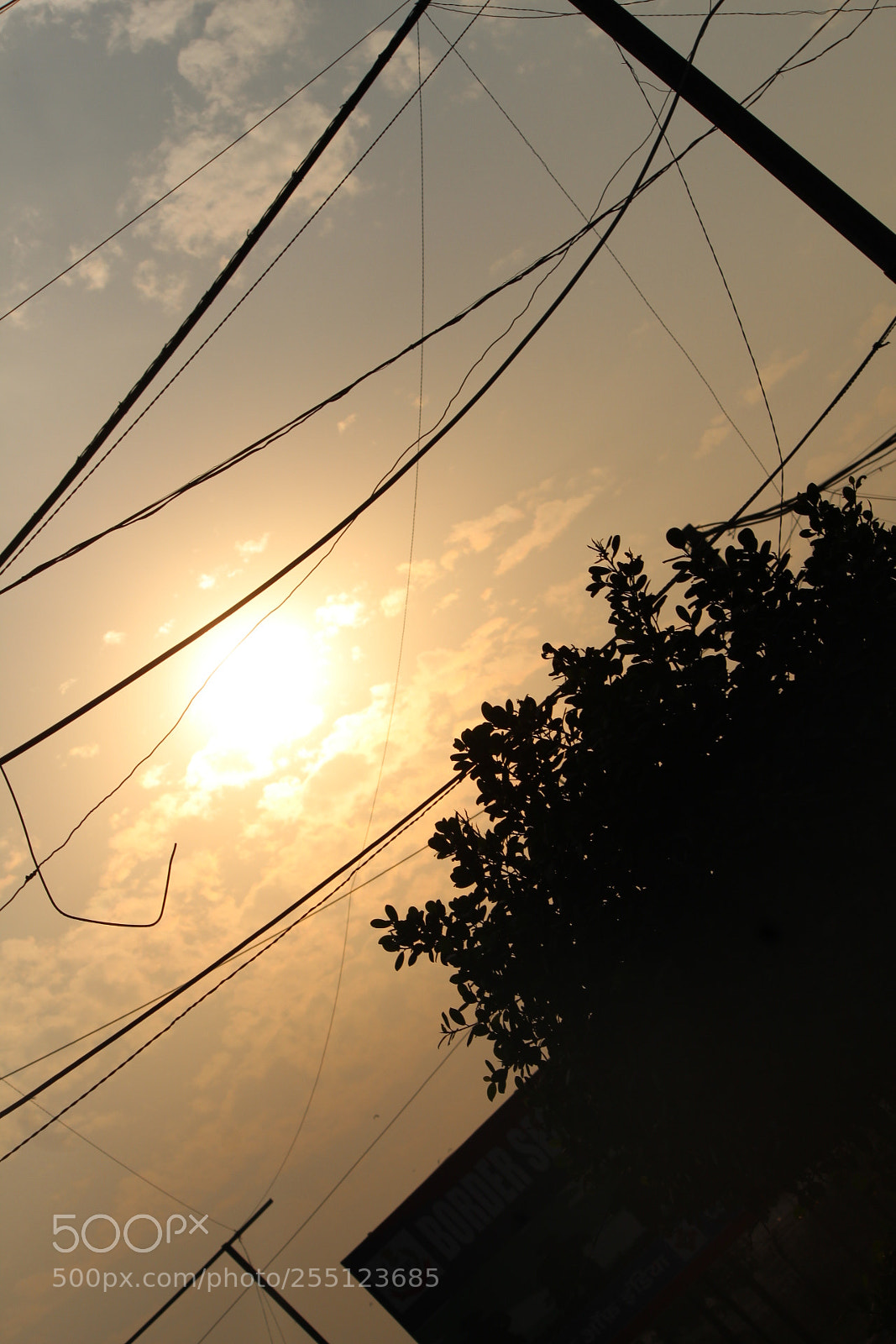 Canon EF-S 55-250mm F4-5.6 IS II sample photo. Power line photography