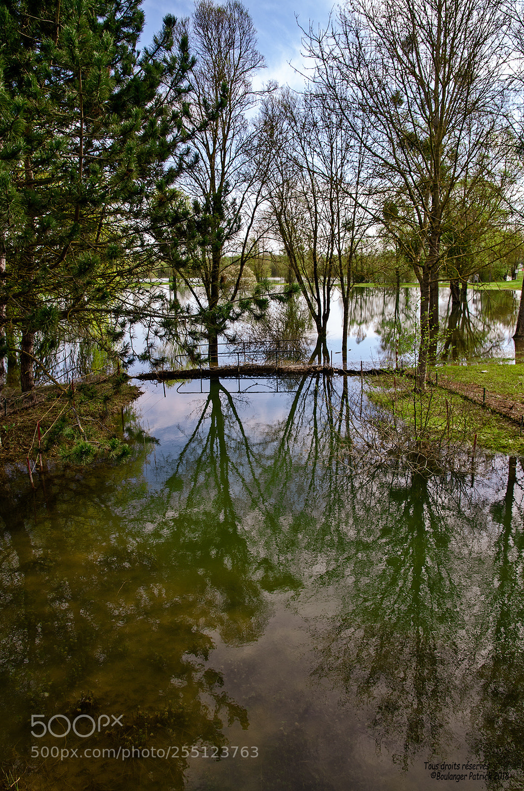 Nikon D7000 sample photo. L etang photography