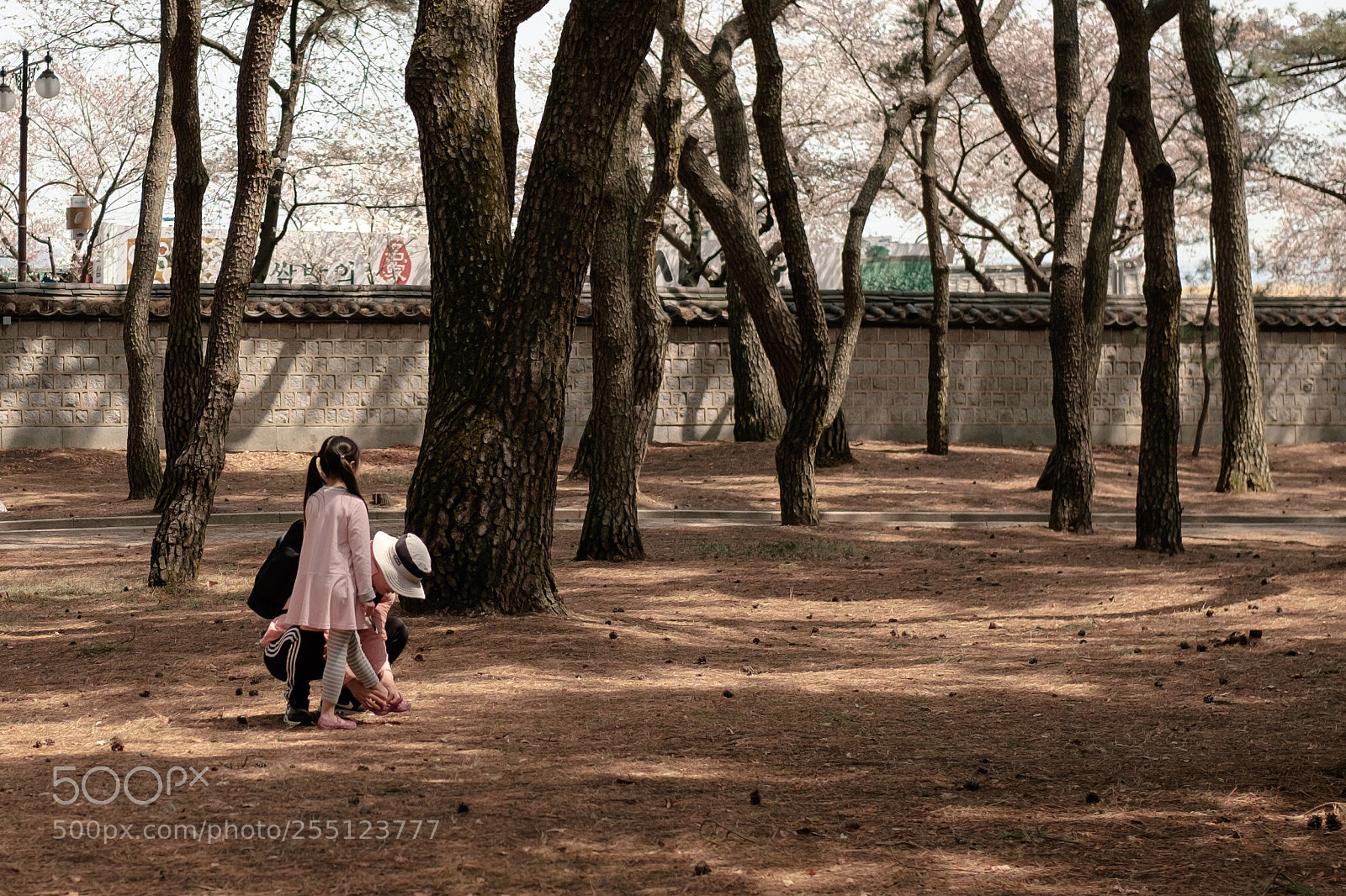 Fujifilm X-T1 sample photo. Daddy, photography