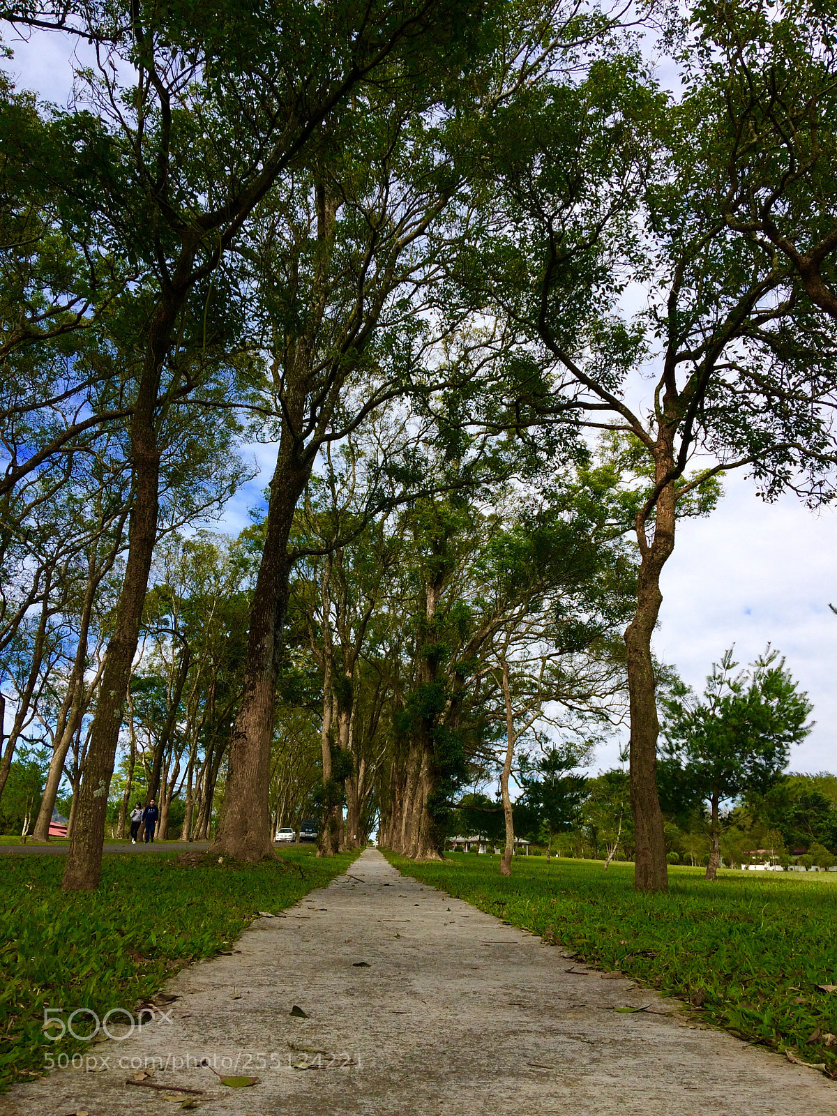 Apple iPhone 5s sample photo. Yuchi township, taiwan photography