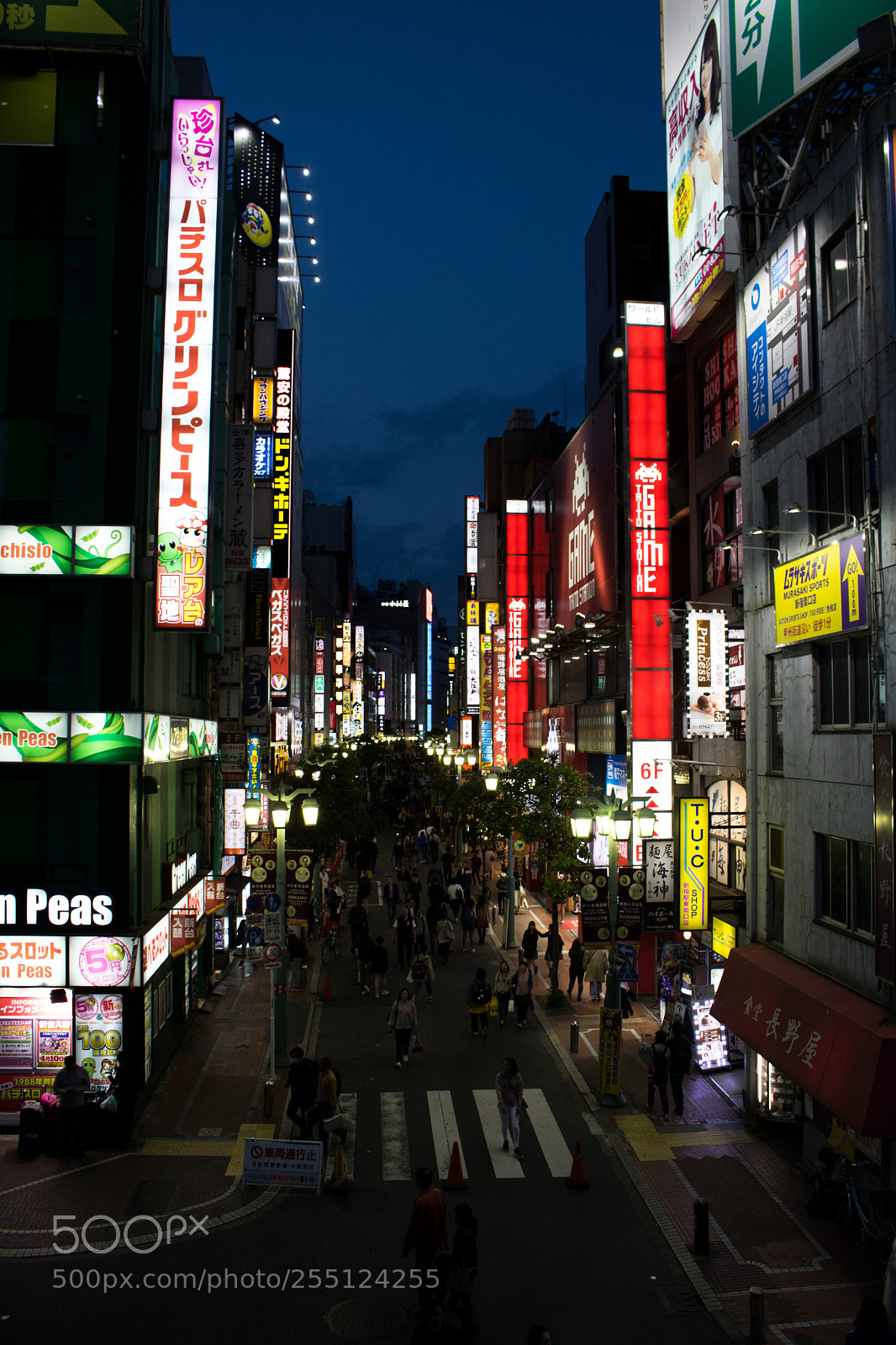 Canon EOS 750D (EOS Rebel T6i / EOS Kiss X8i) sample photo. Shinjuku photography