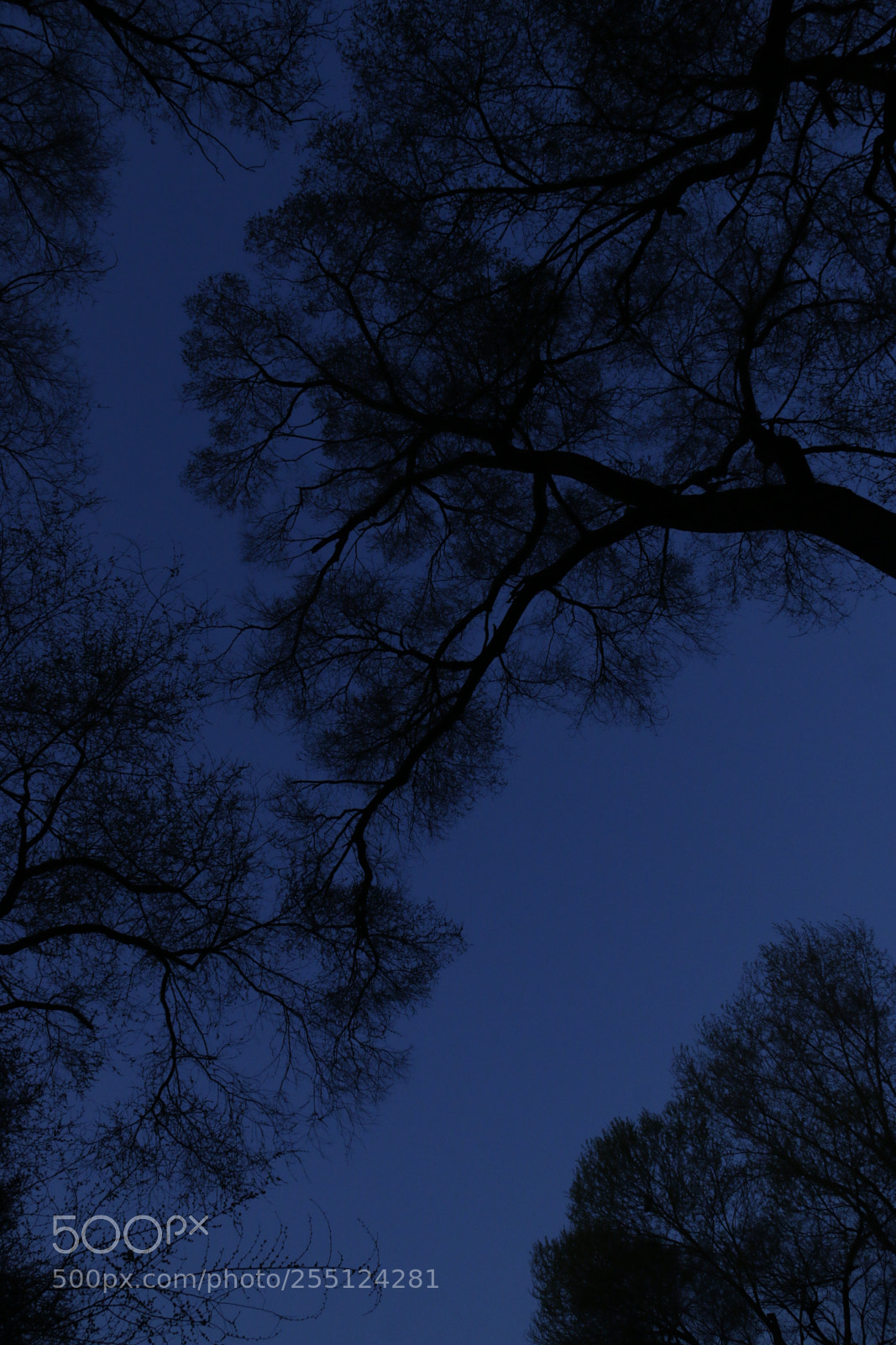 Canon EF-S 18-200mm F3.5-5.6 IS sample photo. The order of the photography